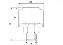 BT 2.webp
