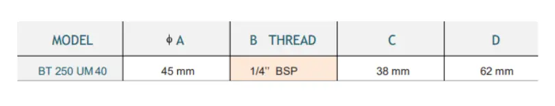 BT.webp